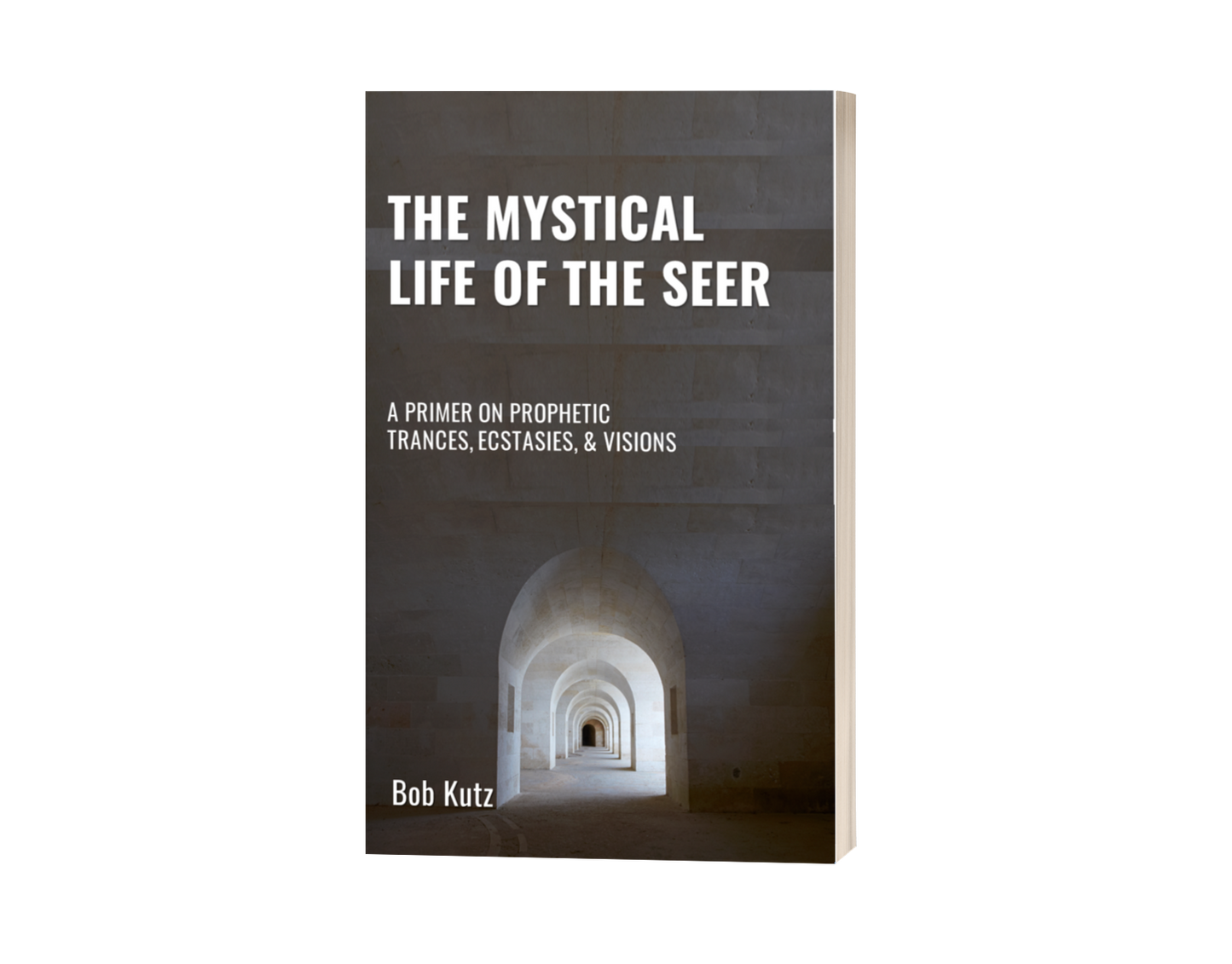 The Mystical Life of the Seer 2.0